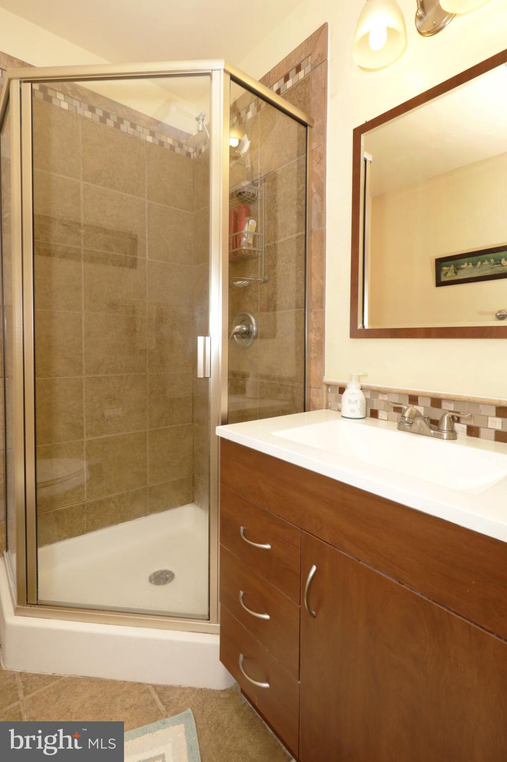 8576 Adamson Street Manassas, VA 20110 - Photo 23 of 37 Corner Shower