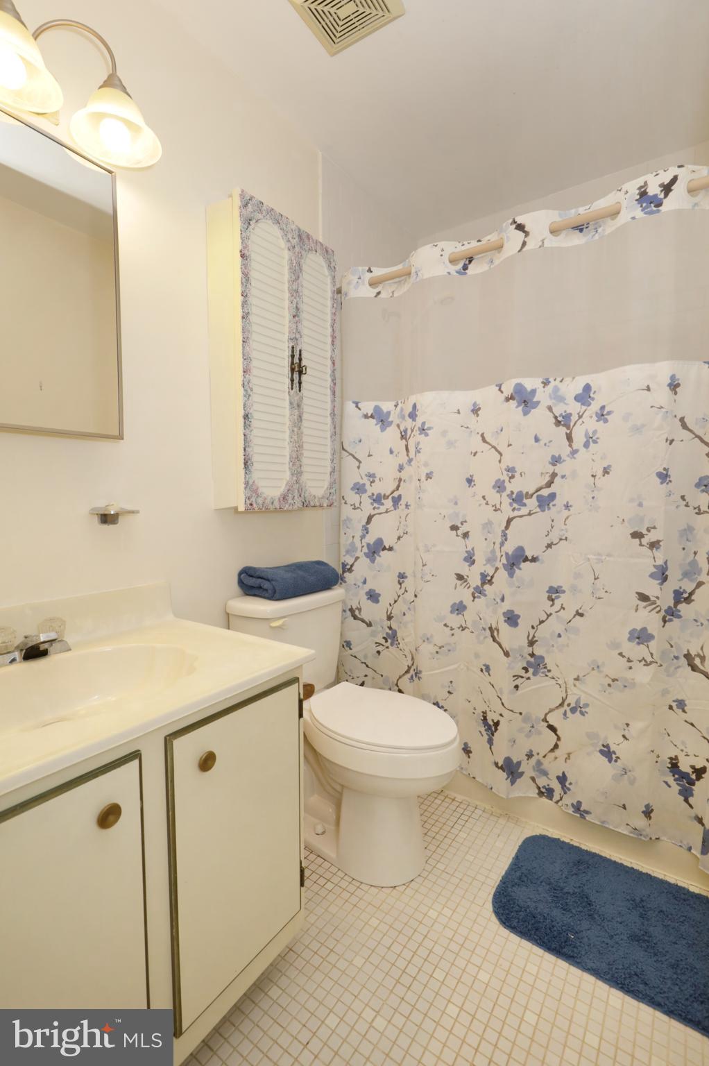 8576 Adamson Street Manassas, VA 20110 - Photo 28 of 37 Hall Bathroom