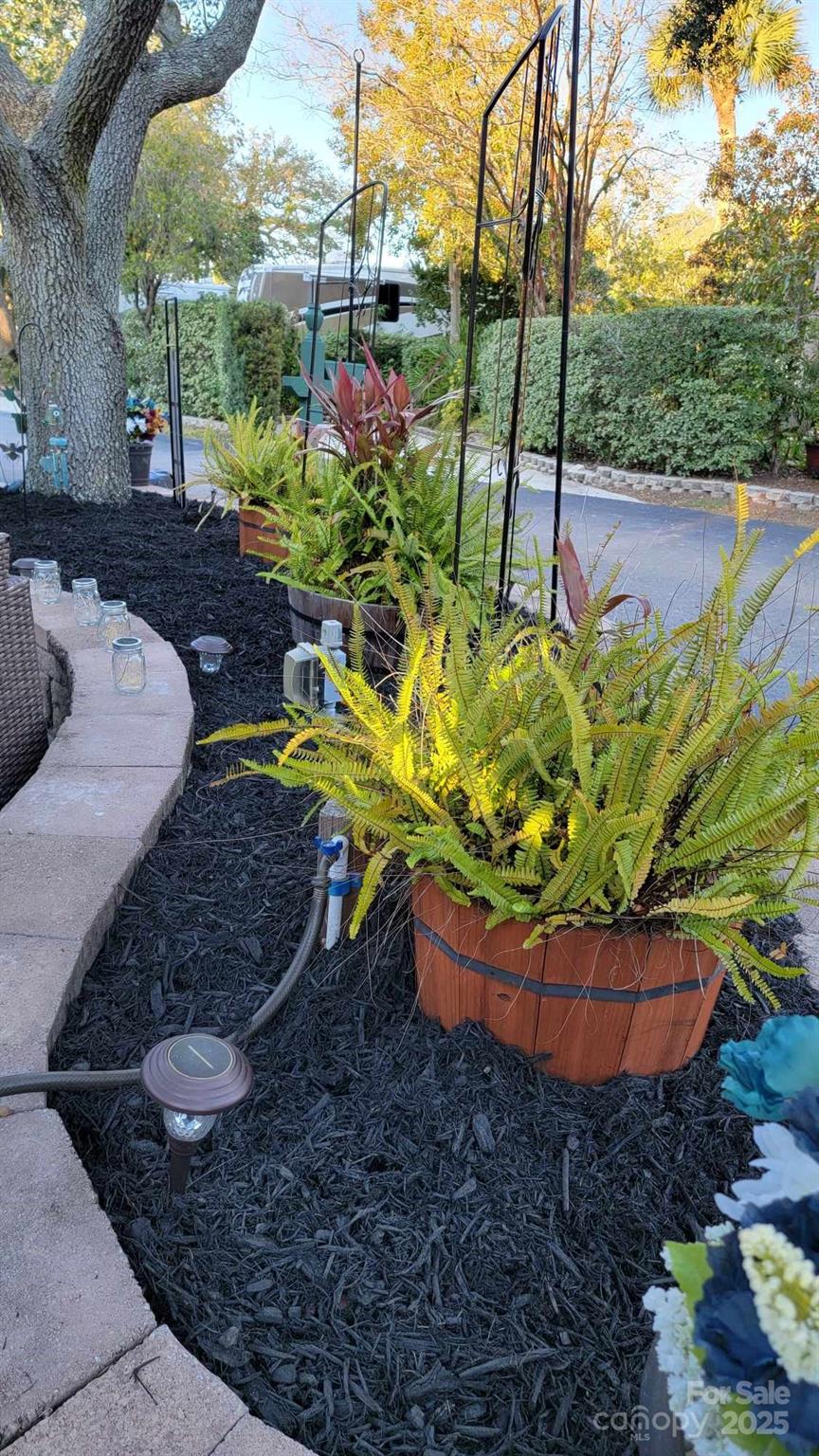 43B Jenkins Island Road, Unit 177 Hilton Head Island, SC 29926 - Photo 8 of 17 a view of a backyard with plants and a patio