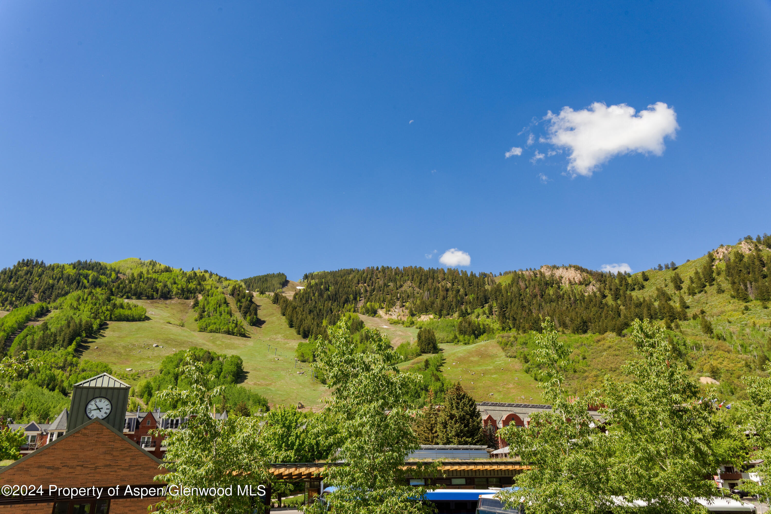 447 East Cooper Ave Unit 1  