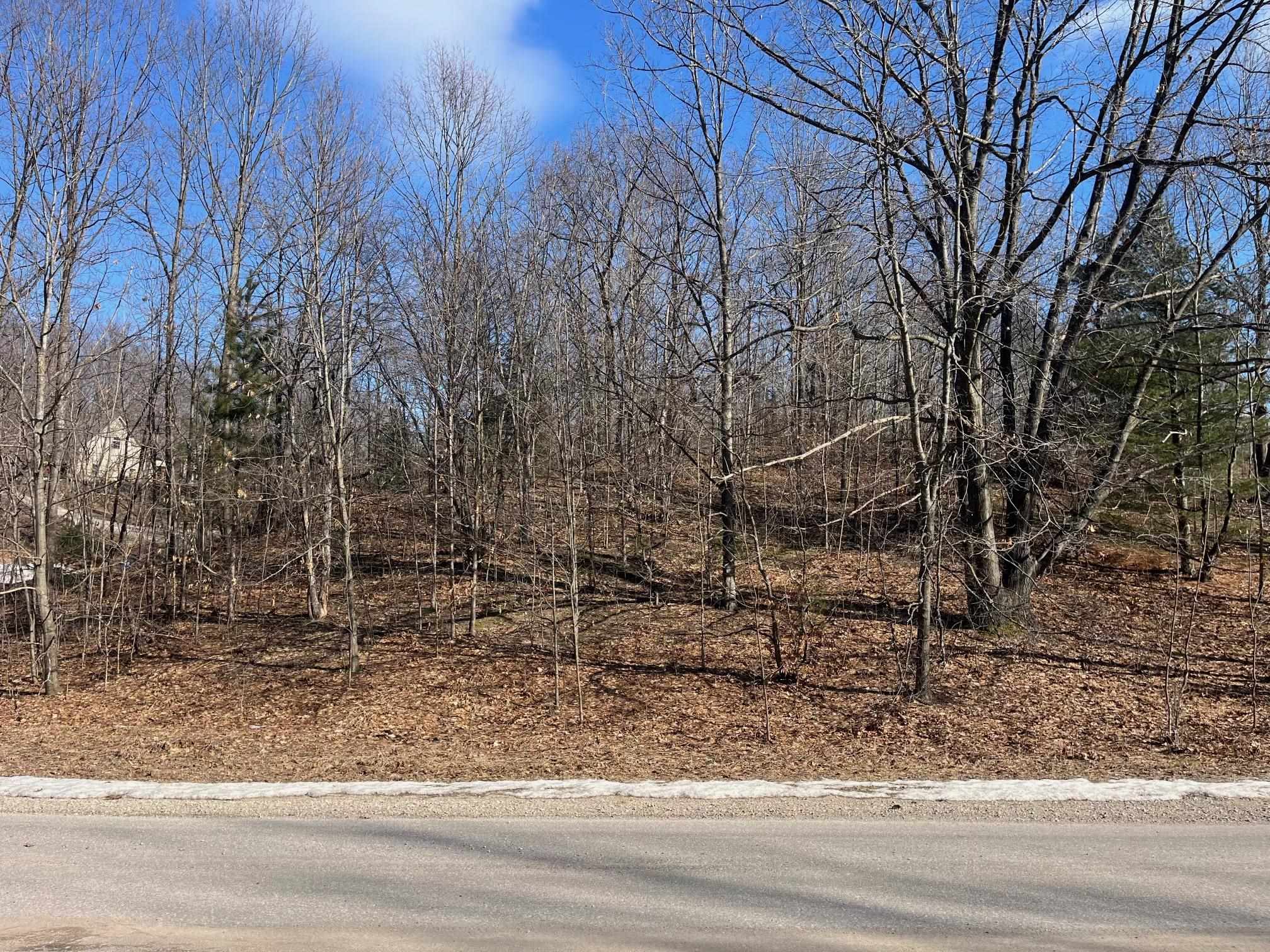 0 South Sugar Loaf Mountain Road Cedar, MI 49621 - Photo 2 of 13 1919258-8de88ca0-892f-4382-8691-1a55bc92bf1d.JPG