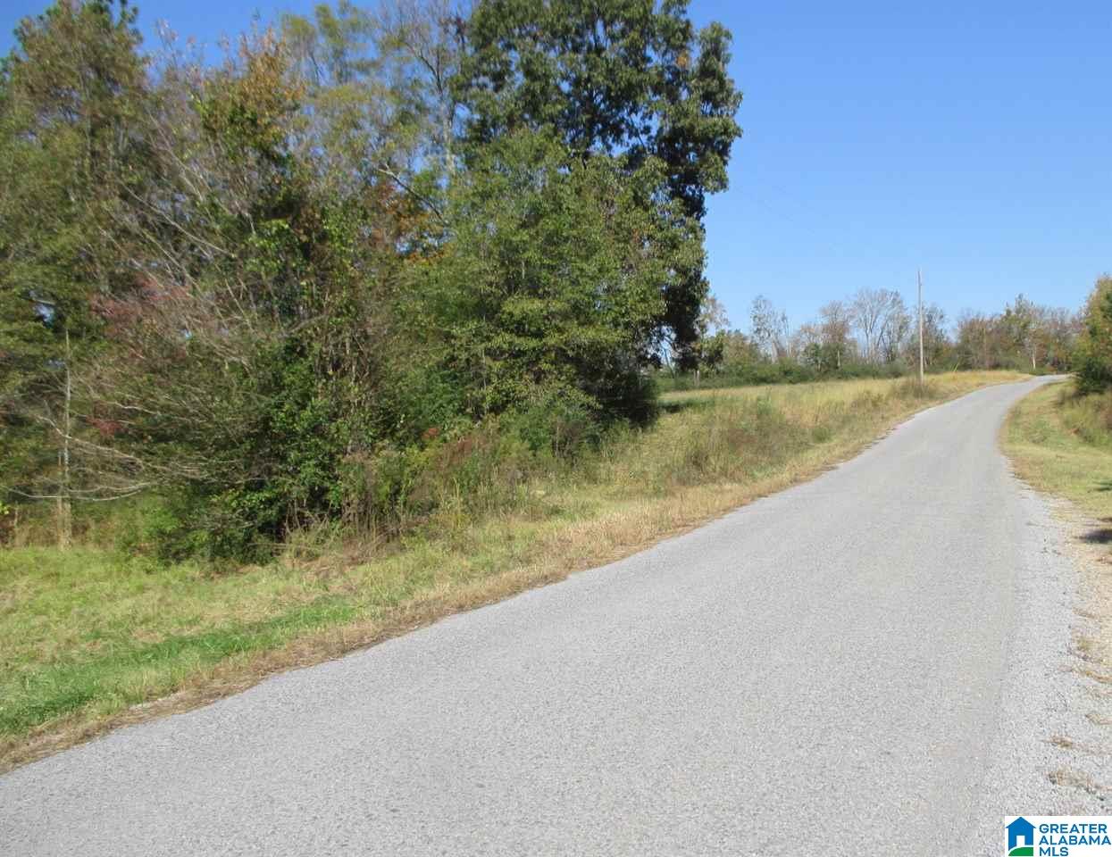 1161 Mardis Mill Road Blountsville, AL 35031 - Photo 28 of 33