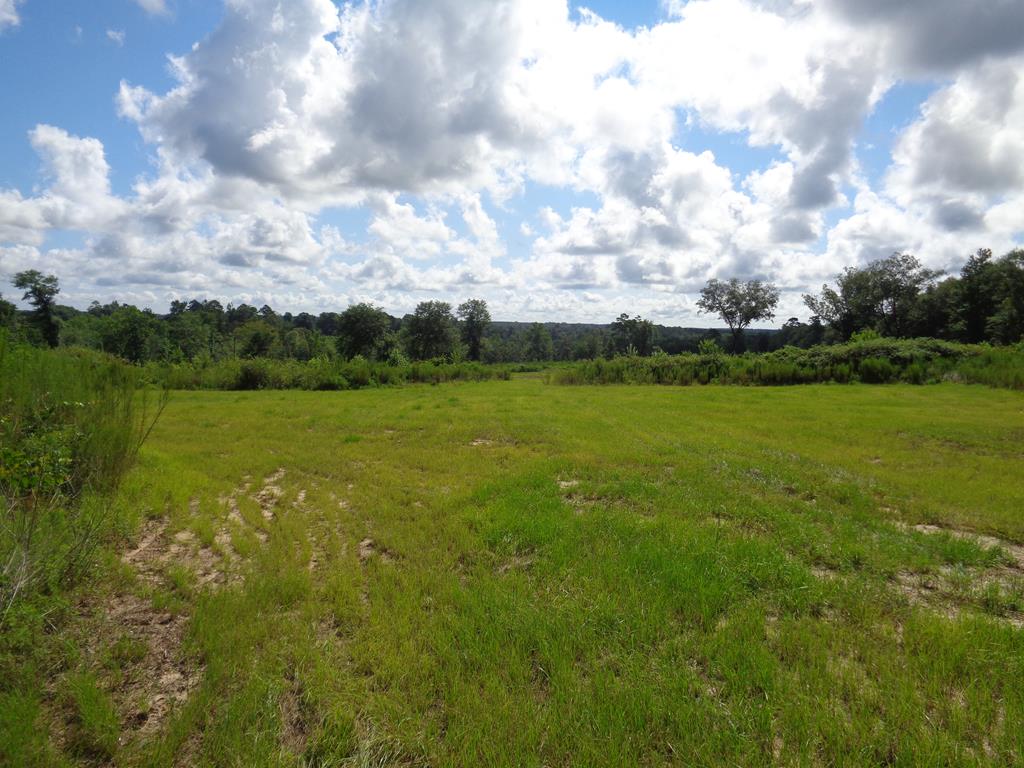 60 Cty Road Abbeville, AL 36310 - Photo 1 of 1