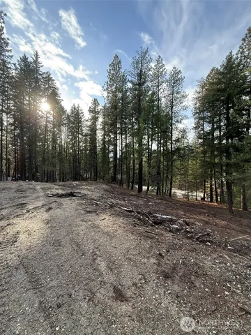 a view of backyard with green space