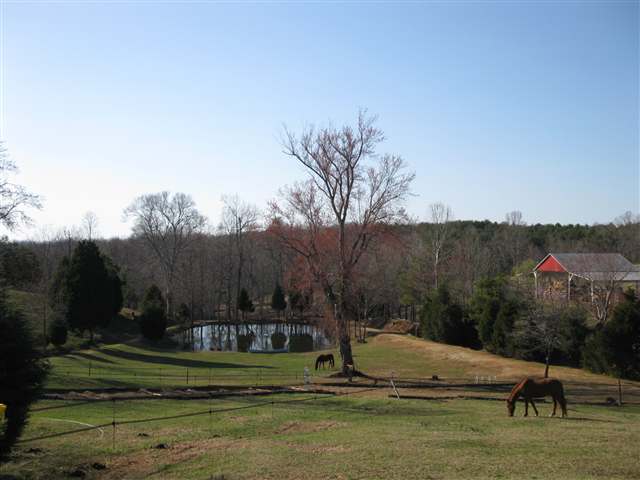 2446 Fews Bridge Road Greer, SC 29651 - Photo 14 of 23