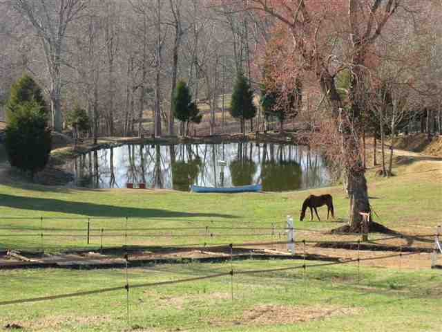2446 Fews Bridge Road Greer, SC 29651 - Photo 15 of 23