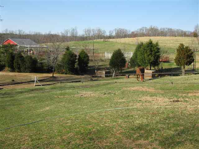 2446 Fews Bridge Road Greer, SC 29651 - Photo 16 of 23
