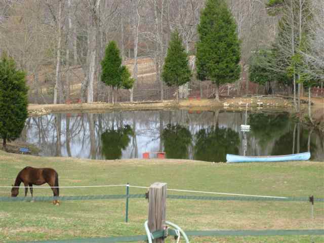 2446 Fews Bridge Road Greer, SC 29651 - Photo 22 of 23