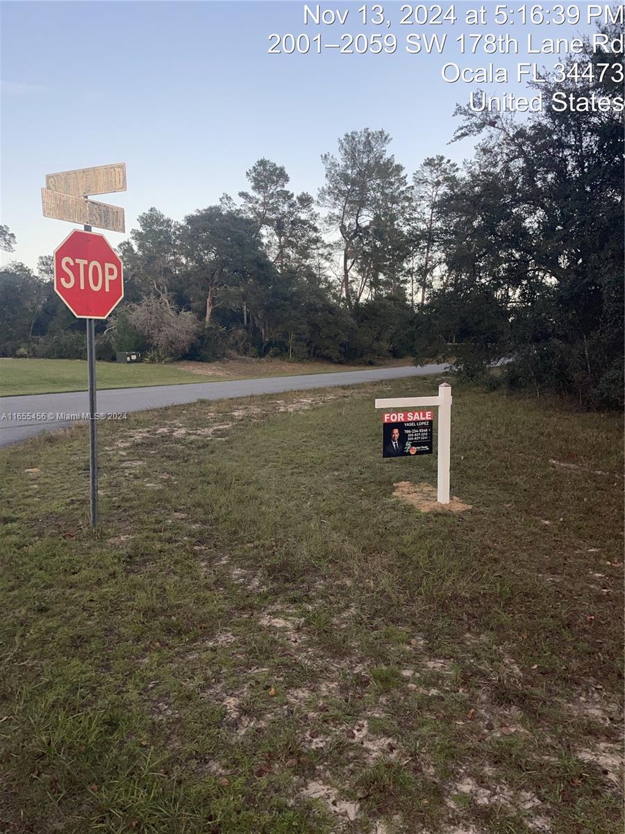 Sw 178-ln Rd Southwest 178 St Road Ocala, FL 34473 - Photo 5 of 8 Gallery Image 5