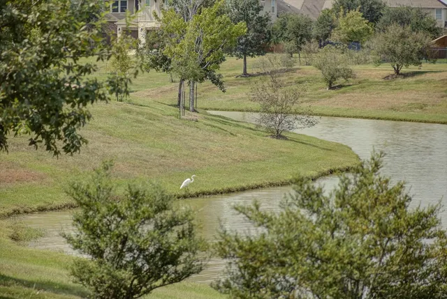 a view of a yard with an outdoor space