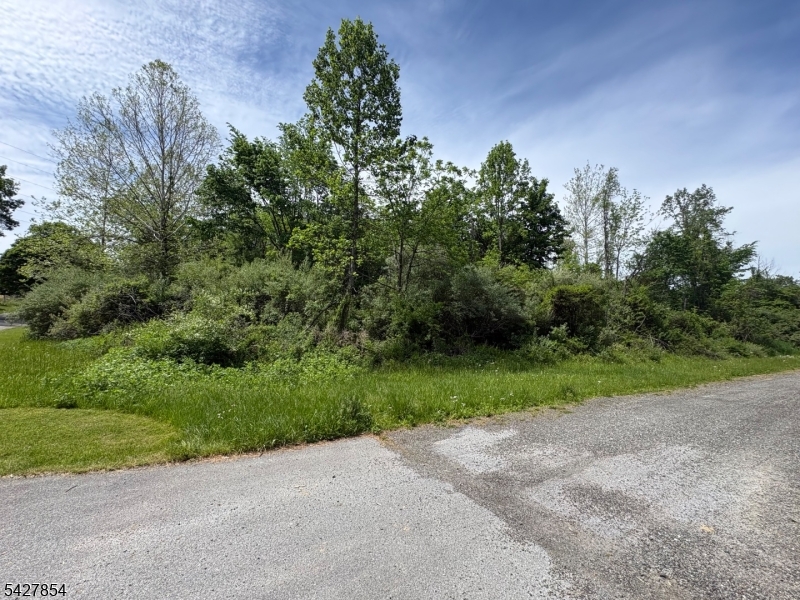 1 Bridge Road Columbia, NJ 07832 - Photo 13 of 16