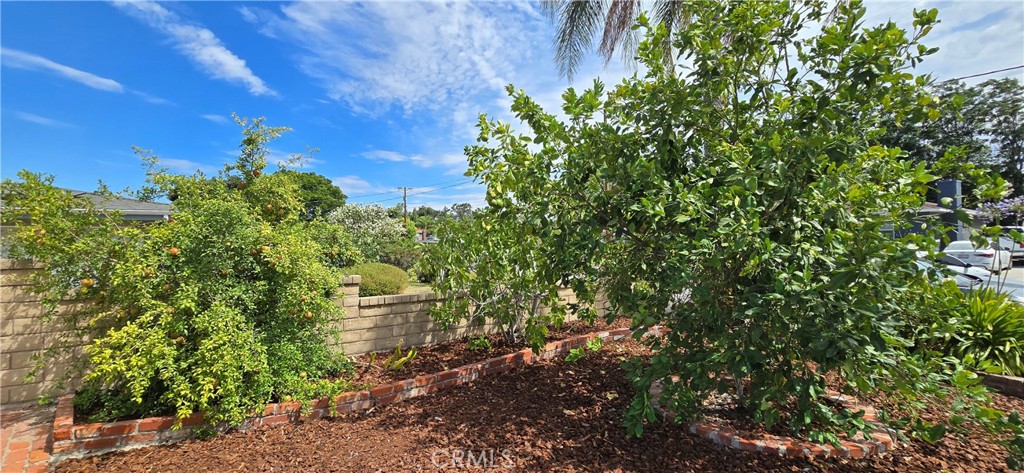 24943 Chestnut Street Newhall, CA 91321 - Photo 59 of 63 Gallery Image 59