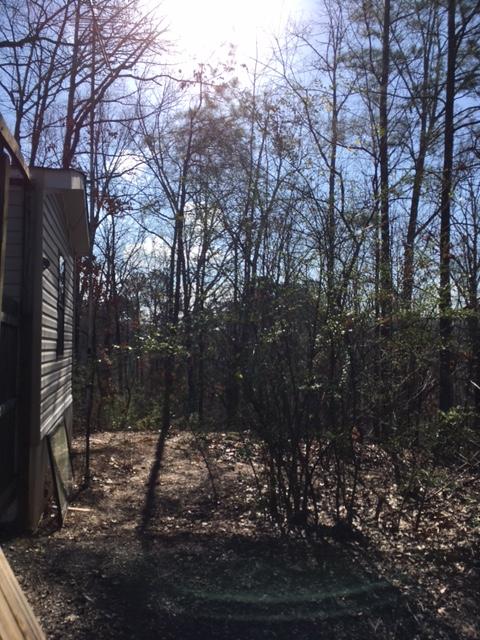 1745 Carters Road Chatsworth, GA 30705 - Photo 3 of 7 IMG_9001