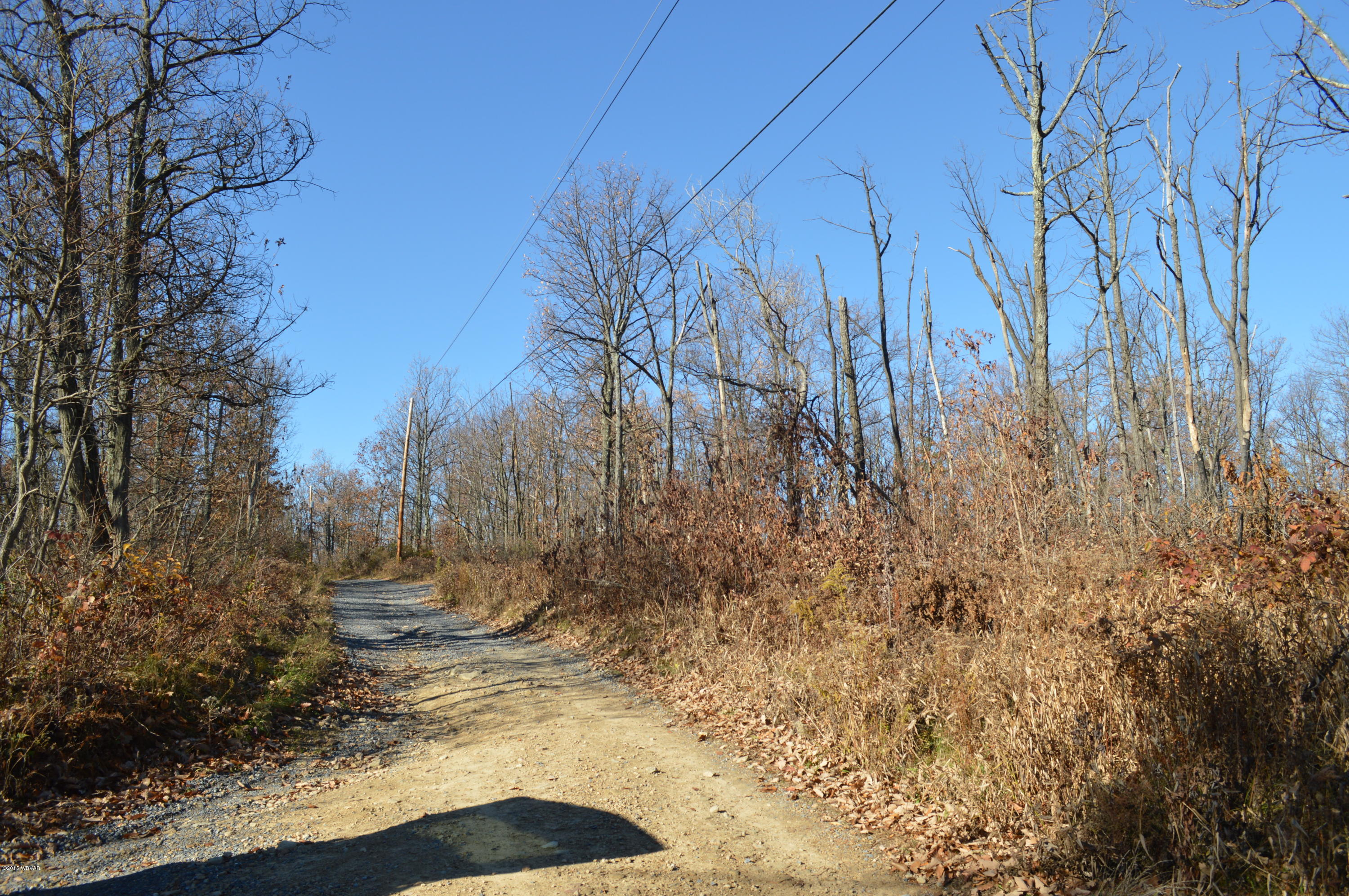 ---- Sugar Camp Road Beech Creek, PA 16822 - Photo 3 of 14 Road - View 1