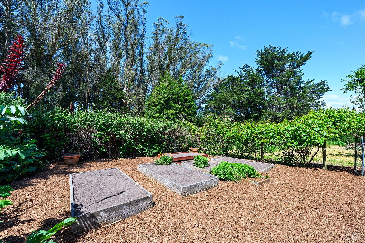 3735 Tomales Petaluma Road Petaluma, CA 94952 - Photo 43 of 60