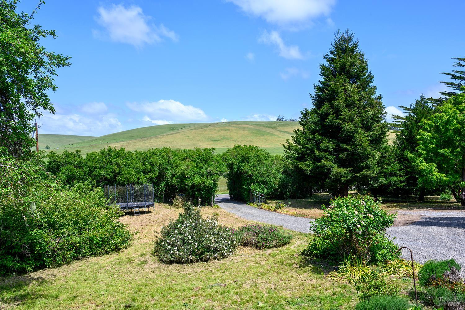 3735 Tomales Petaluma Road Petaluma, CA 94952 - Photo 46 of 60