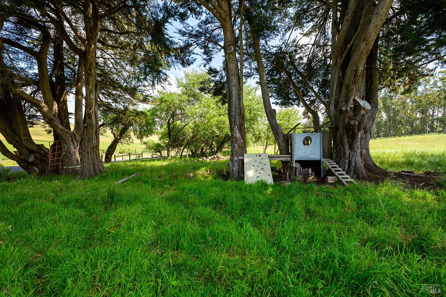 3735 Tomales Petaluma Road Petaluma, CA 94952 - Photo 52 of 60