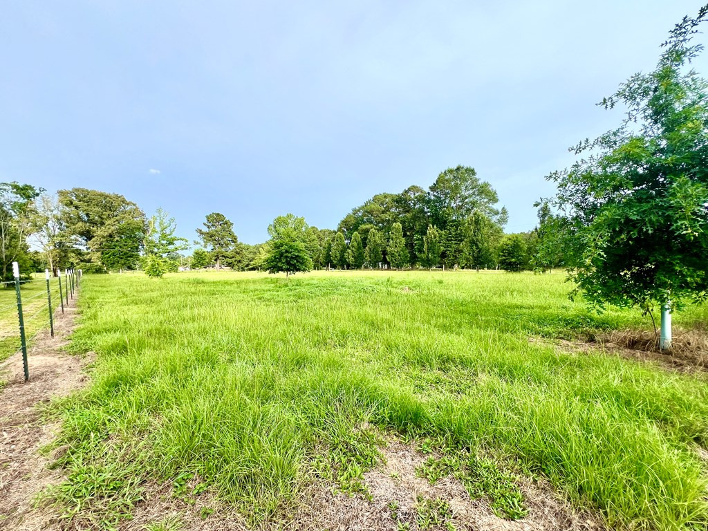 4347 Coleman Road Liberty, MS 39645 - Photo 3 of 24 Photo 3