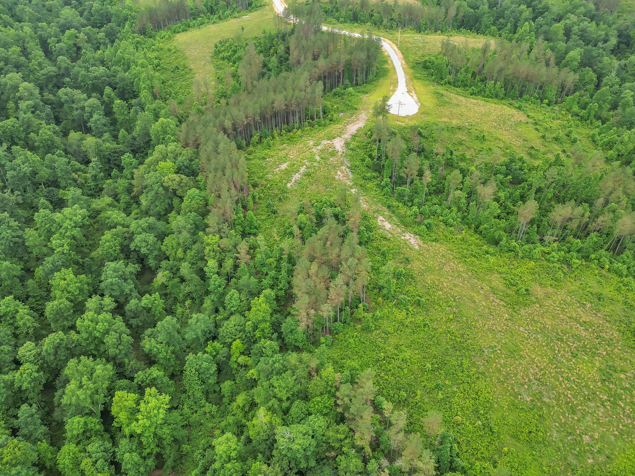178 Sagebrush Way Dover, TN 37058 - Photo 15 of 18