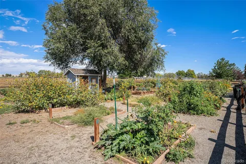 a view of backyard with green space