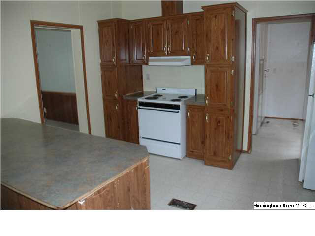 789 Moore Road Springville, AL 35146 - Photo 9 of 19