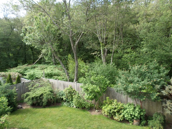 390 Cedar Brook Road Lynn, MA 01904 - Photo 27 of 27 Gallery Image 27