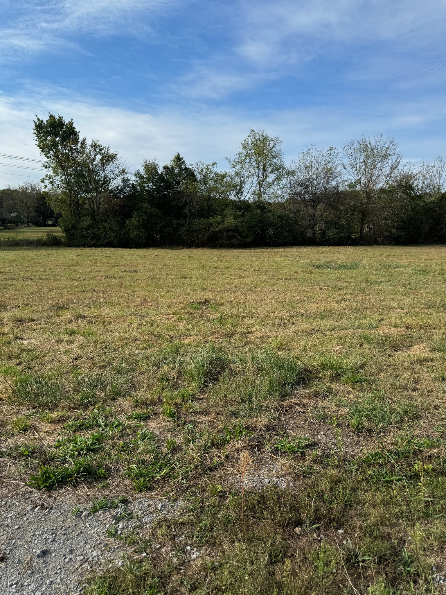 2078 Bluebird Road Lebanon, TN 37087 - Photo 3 of 4 Gallery Image 3