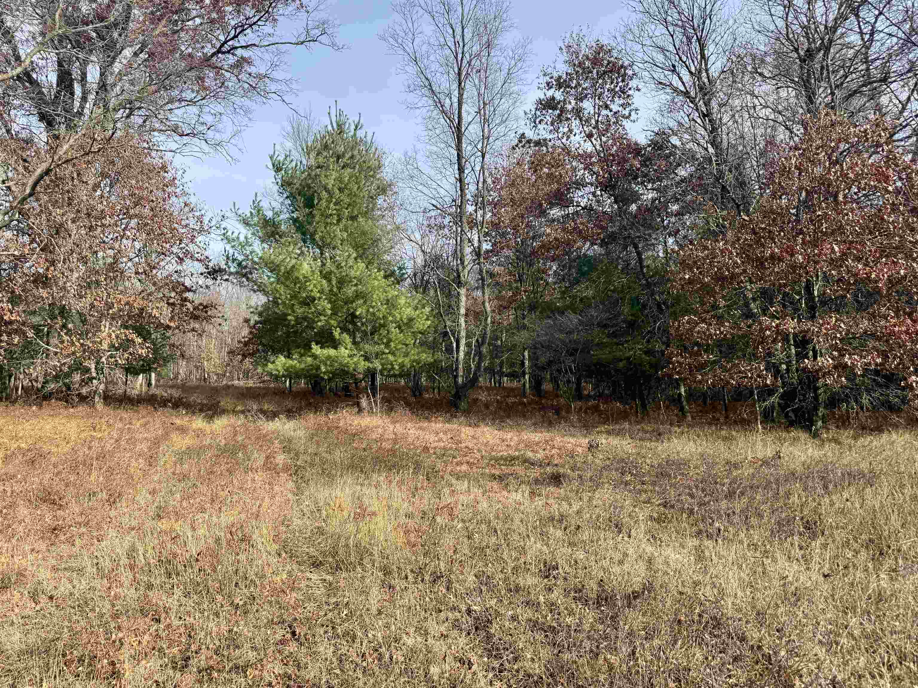 Parcel E West Rosted Road Lake City, MI 49651 - Photo 2 of 23
