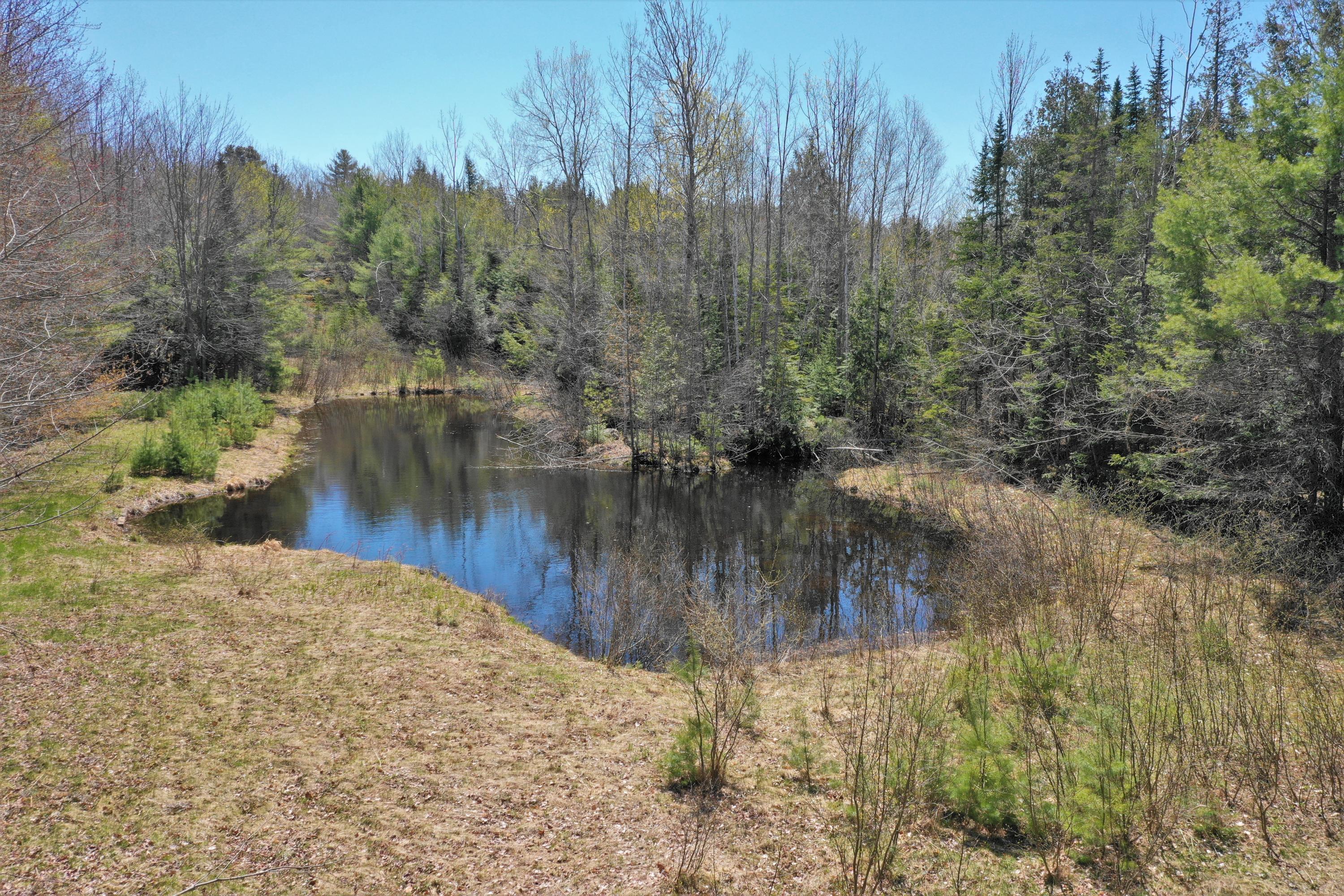 275 Riverside Drive Eddington, ME 04428 - Photo 33 of 40 DJI_0068