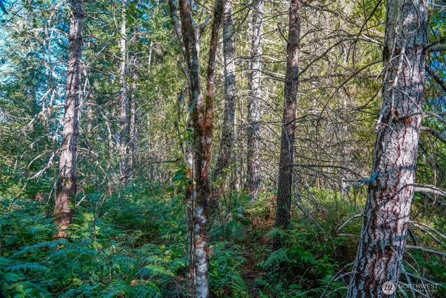 $60,000 | 0 North Silver Lane North, Hoodsport, WA 98548