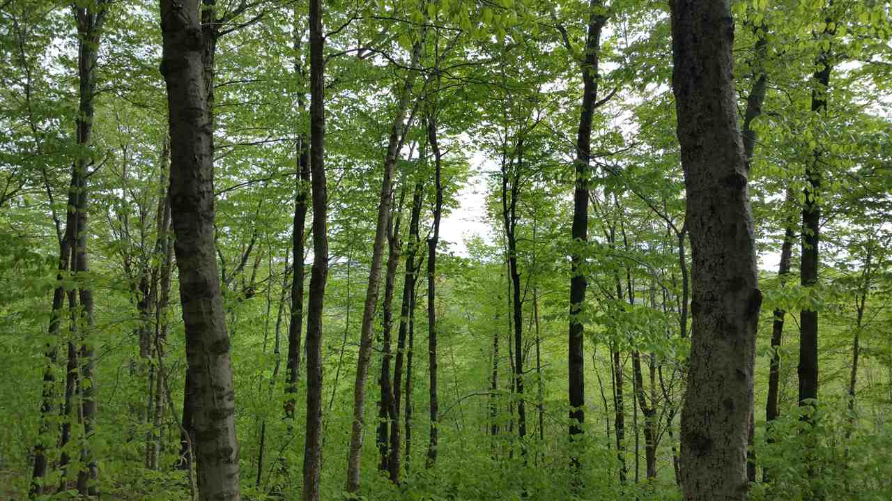 Lot 0 Howe Pond Road Readsboro, VT 05350 - Photo 1 of 29