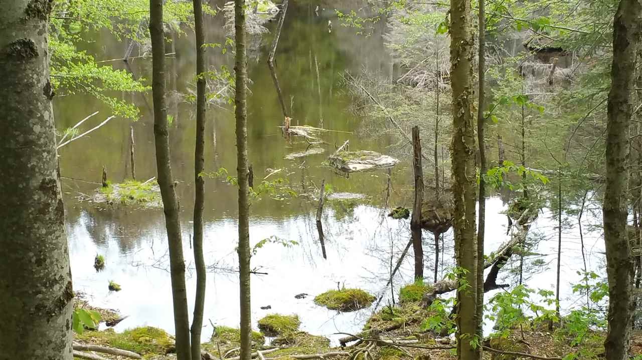 Lot 0 Howe Pond Road Readsboro, VT 05350 - Photo 12 of 29