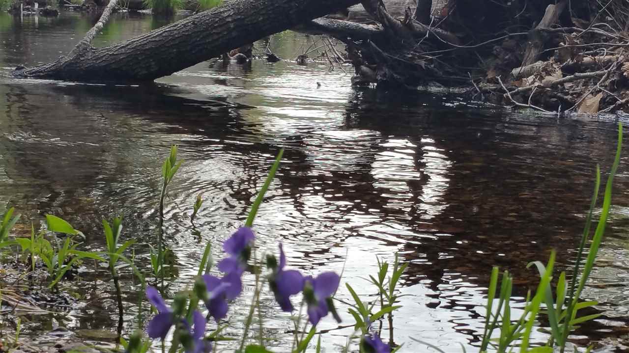 Lot 0 Howe Pond Road Readsboro, VT 05350 - Photo 17 of 29