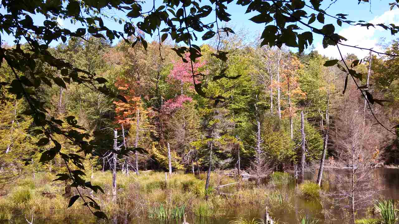 Lot 0 Howe Pond Road Readsboro, VT 05350 - Photo 18 of 29