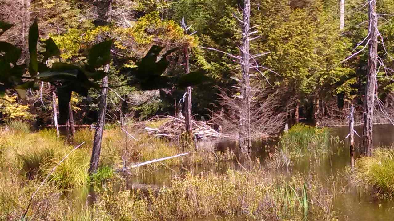 Lot 0 Howe Pond Road Readsboro, VT 05350 - Photo 19 of 29