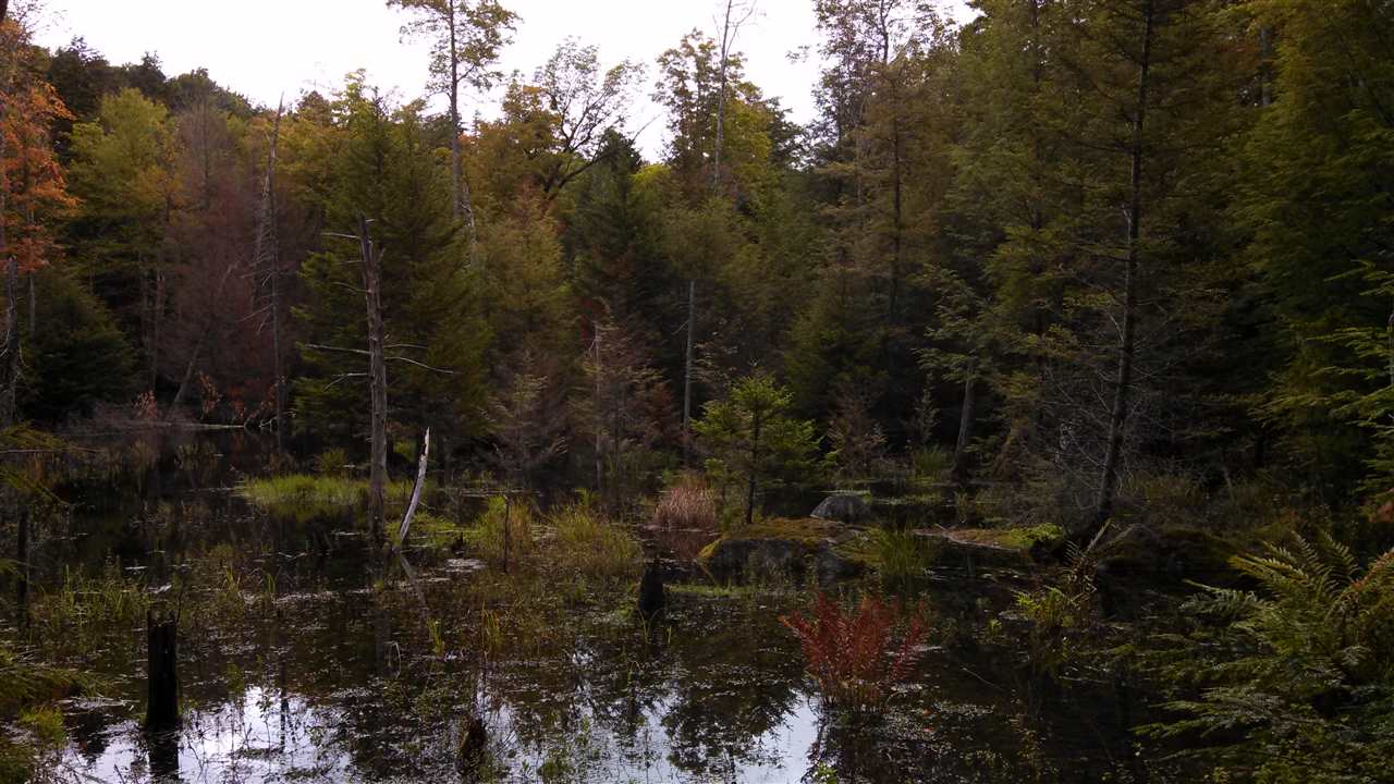 Lot 0 Howe Pond Road Readsboro, VT 05350 - Photo 20 of 29