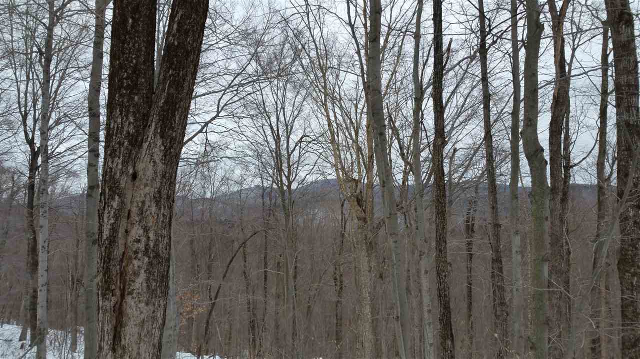 Lot 0 Howe Pond Road Readsboro, VT 05350 - Photo 21 of 29