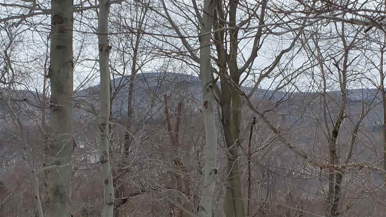 Lot 0 Howe Pond Road Readsboro, VT 05350 - Photo 22 of 29