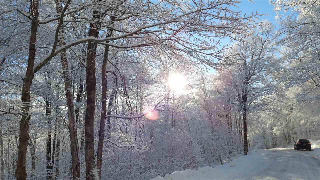 Lot 0 Howe Pond Road Readsboro, VT 05350 - Photo 24 of 29