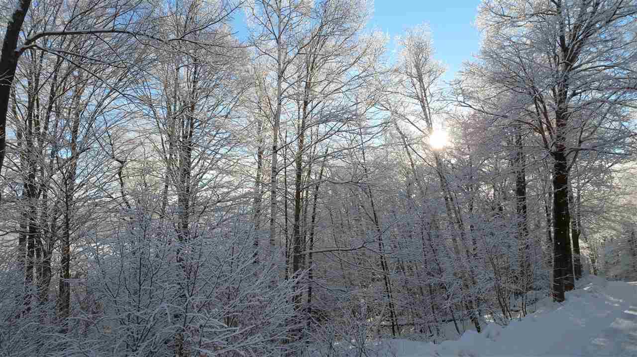 Lot 0 Howe Pond Road Readsboro, VT 05350 - Photo 27 of 29