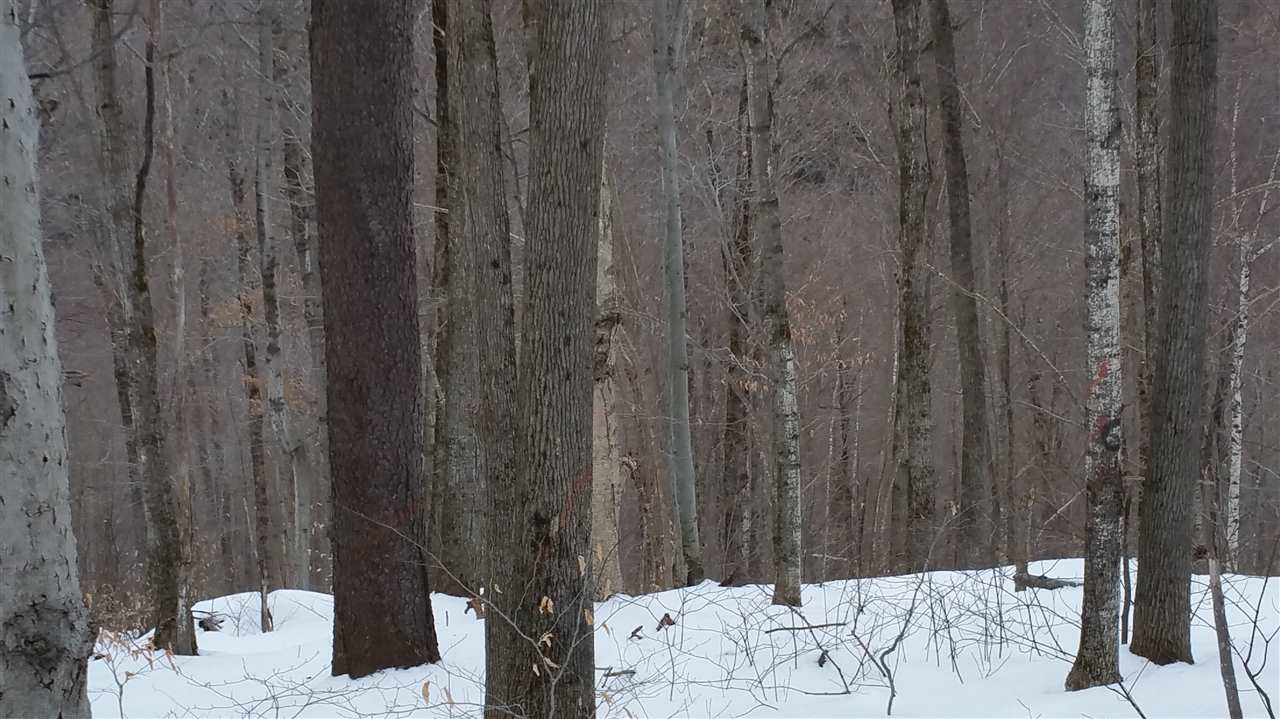 Lot 0 Howe Pond Road Readsboro, VT 05350 - Photo 29 of 29