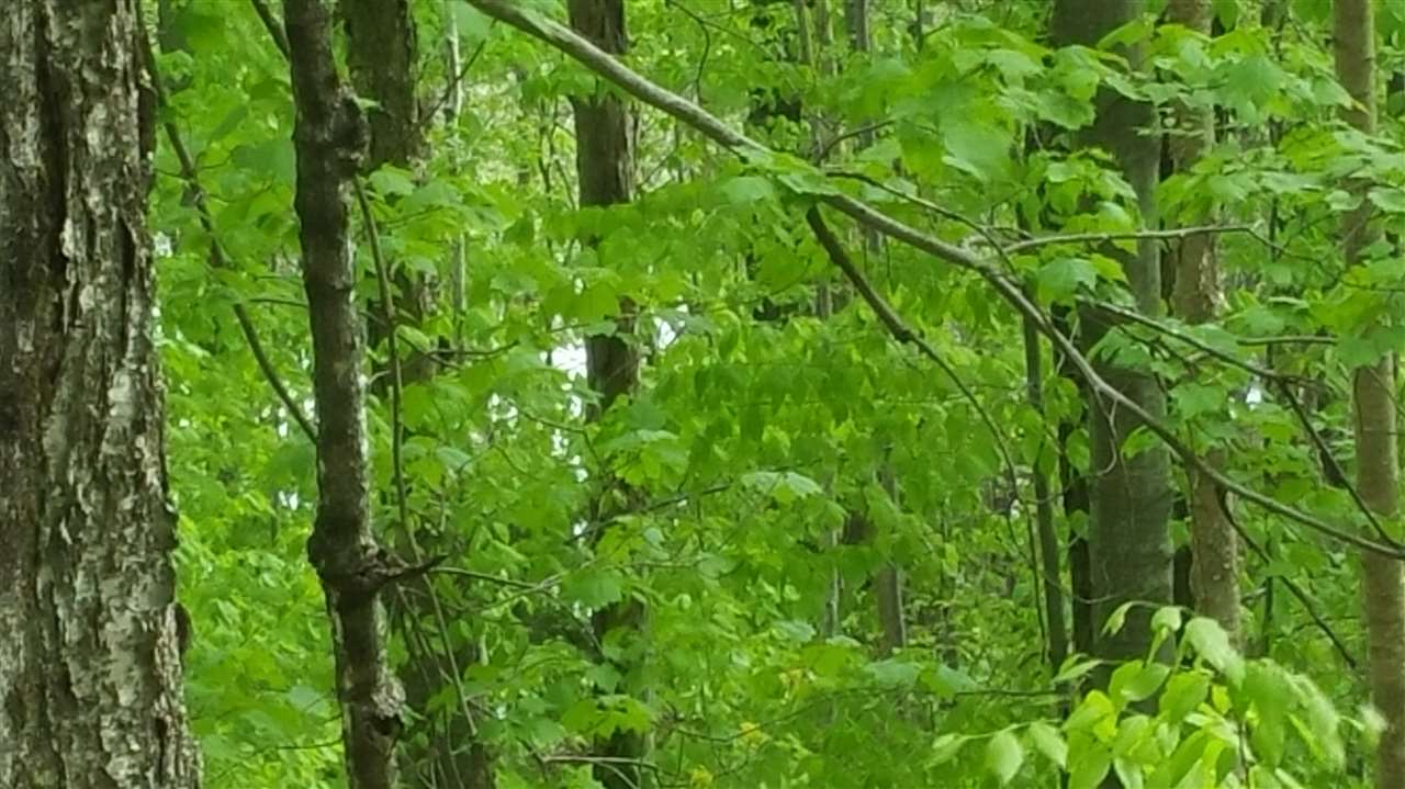 Lot 0 Howe Pond Road Readsboro, VT 05350 - Photo 4 of 29