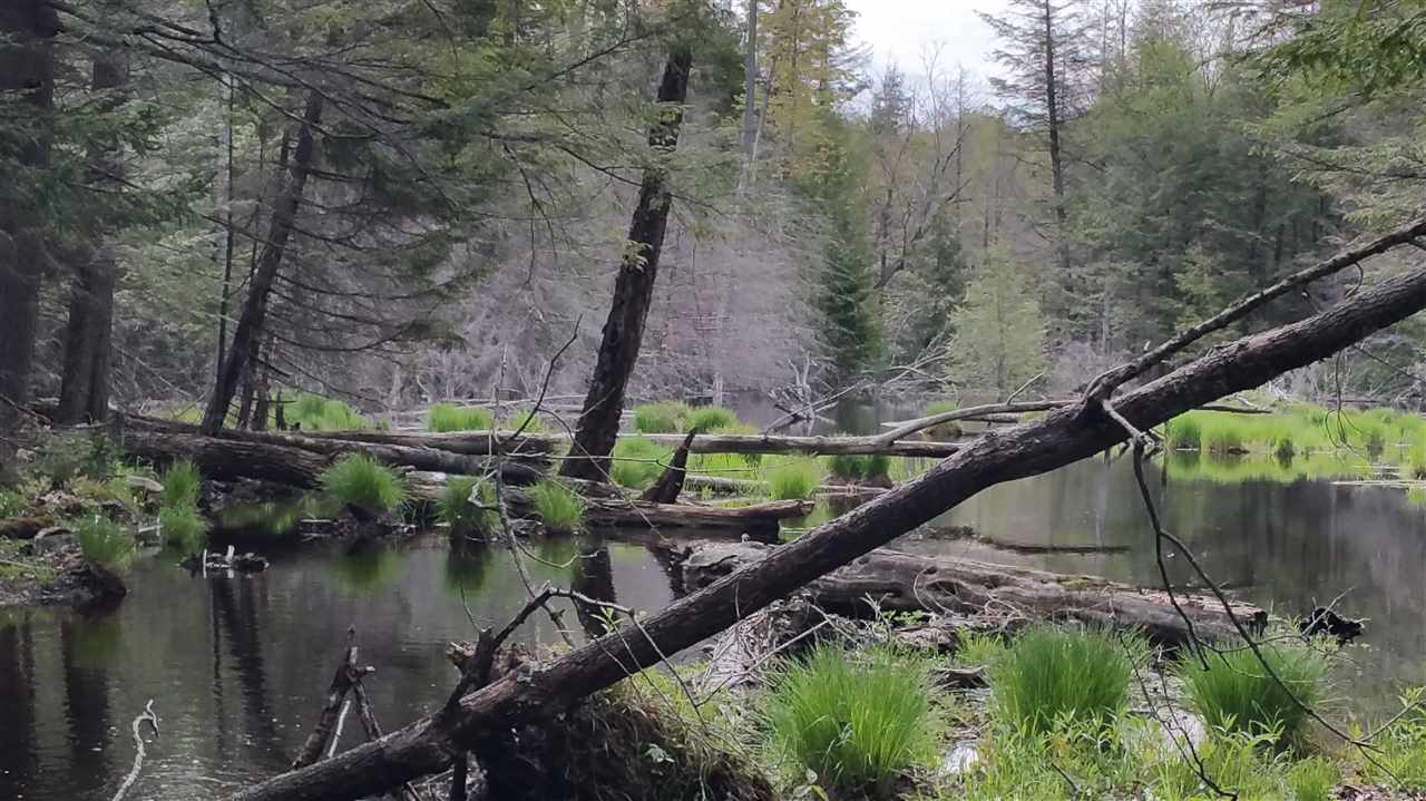 Lot 0 Howe Pond Road Readsboro, VT 05350 - Photo 7 of 29