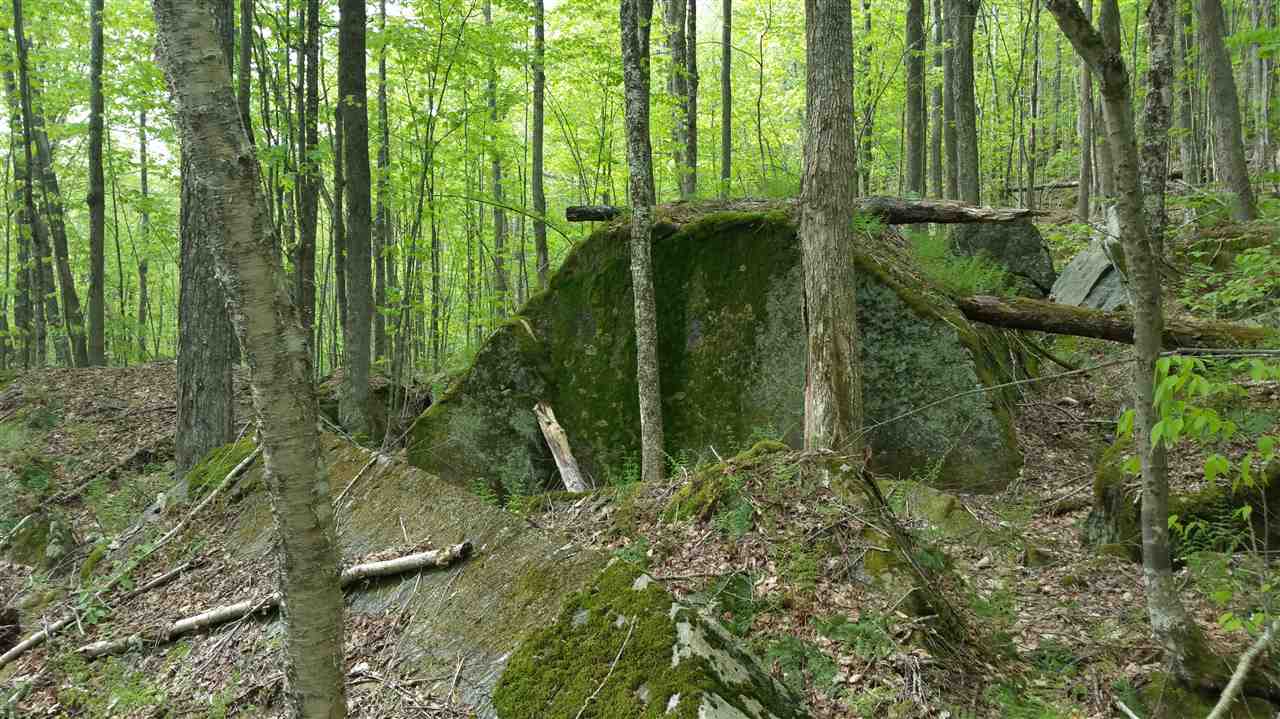 Lot 0 Howe Pond Road Readsboro, VT 05350 - Photo 9 of 29