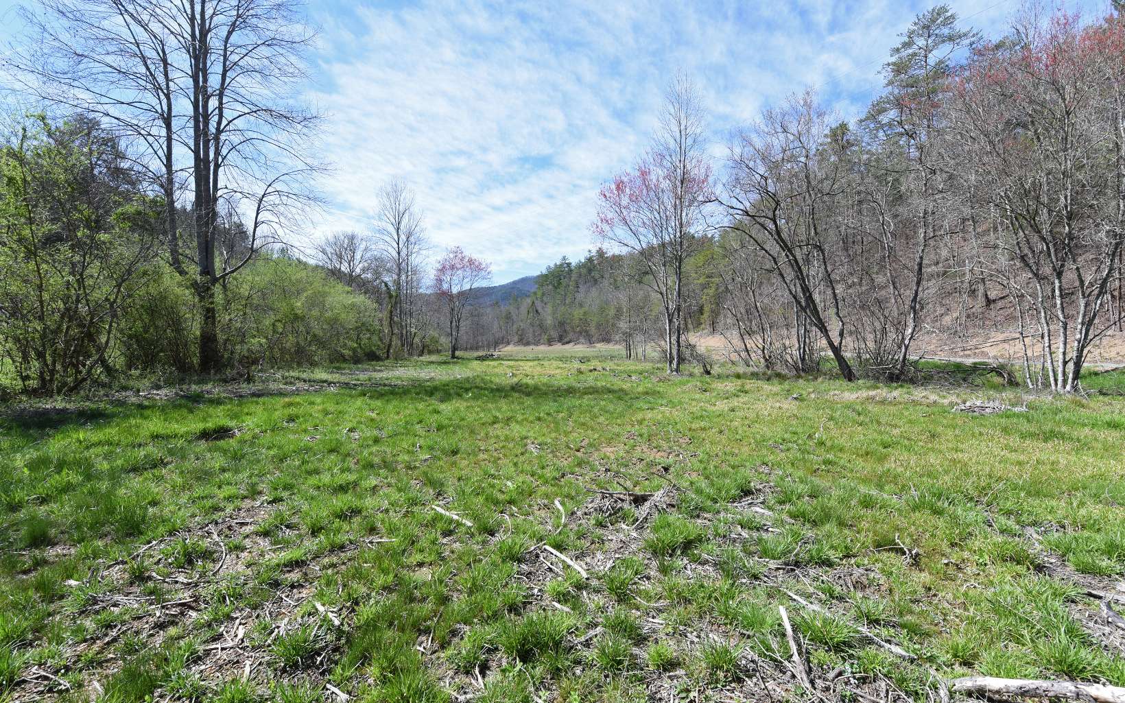 Price Road Reliance, TN 37369 - Photo 1 of 1 a view of a backyard with large trees