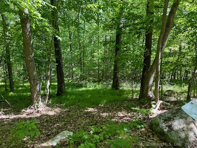 13 Jordan Hill Road, Unit LOT #4 Newtown, CT 06482 - Photo 4 of 6