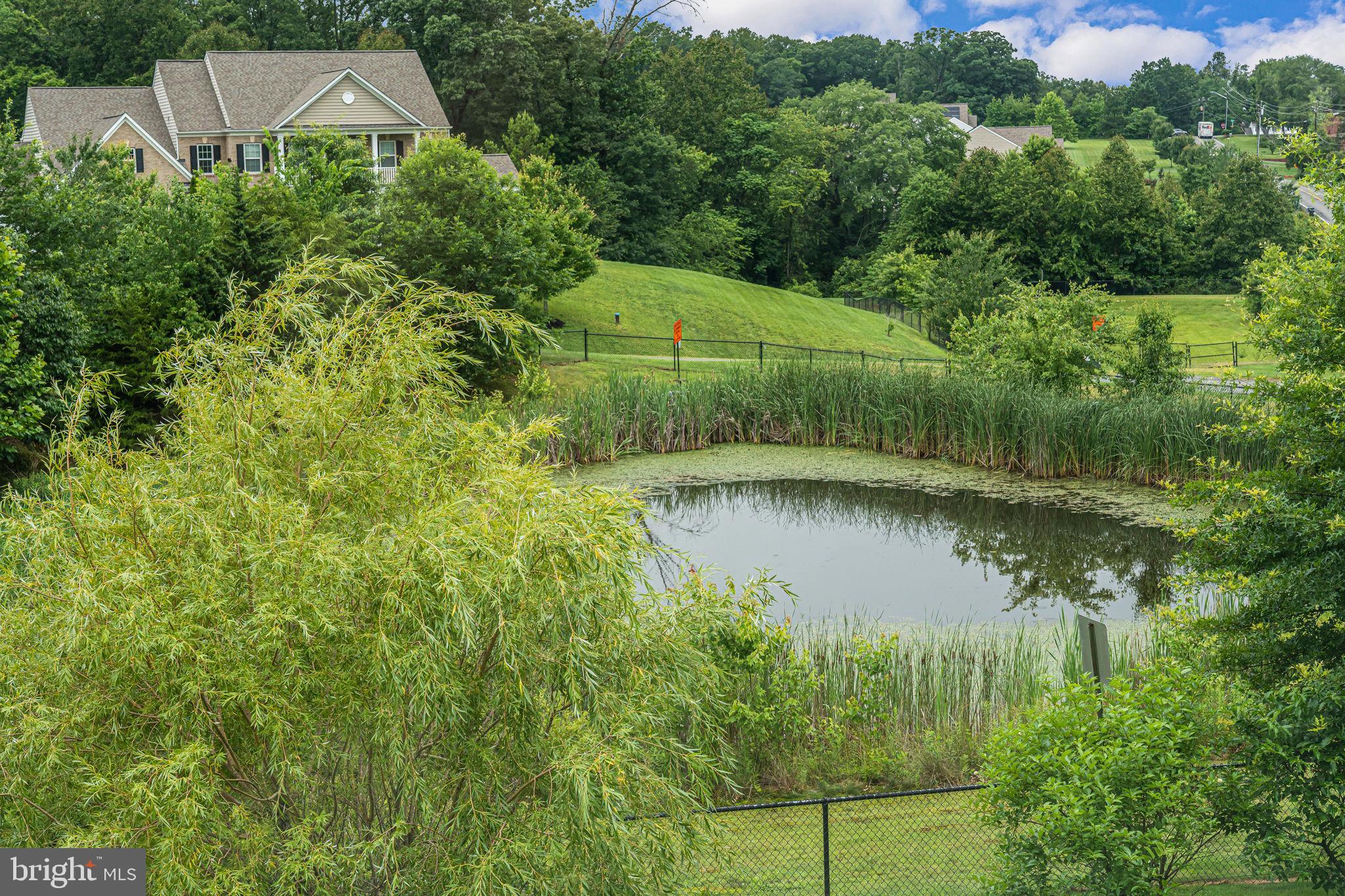 7425 Signal Hill Road Manassas, VA 20111 - Photo 89 of 104 Pond views. Wonderful sunsets just over the water.