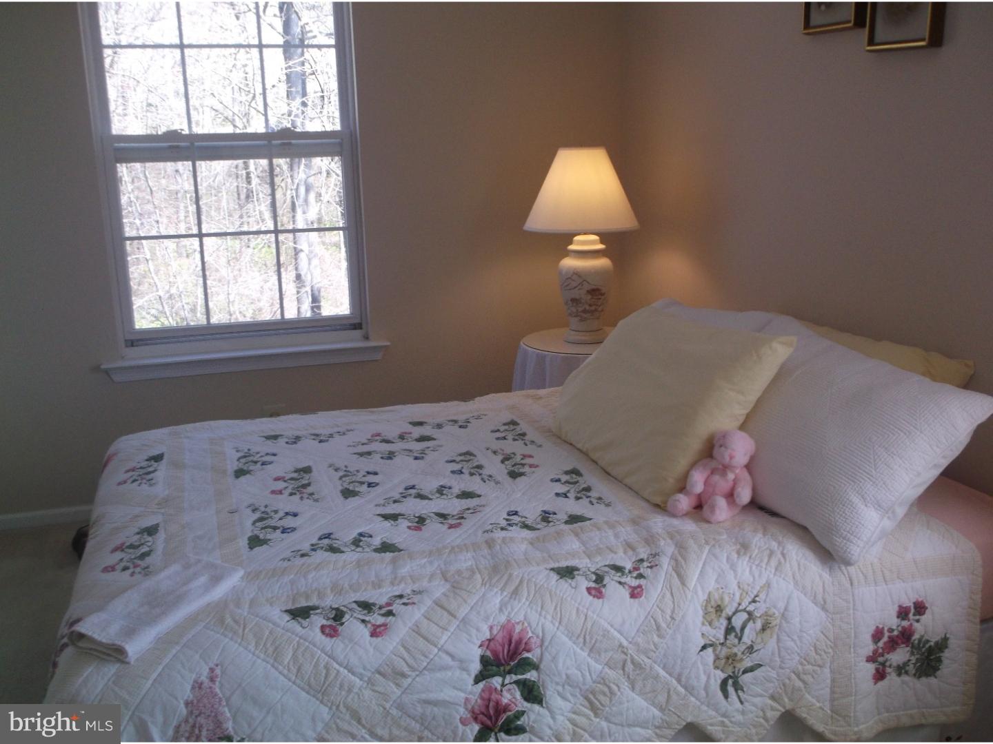 3159 William Road Garnet Valley, PA 19060 - Photo 15 of 21 Gallery Image 15