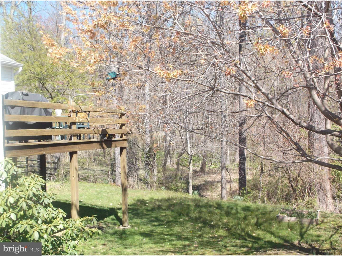 3159 William Road Garnet Valley, PA 19060 - Photo 18 of 21 Back Yard