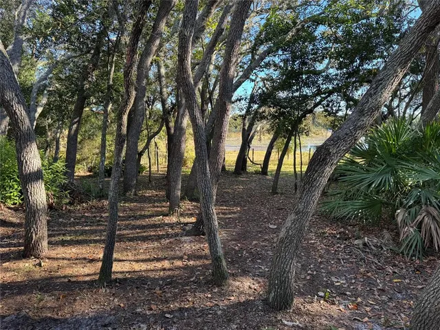 a view of outdoor space